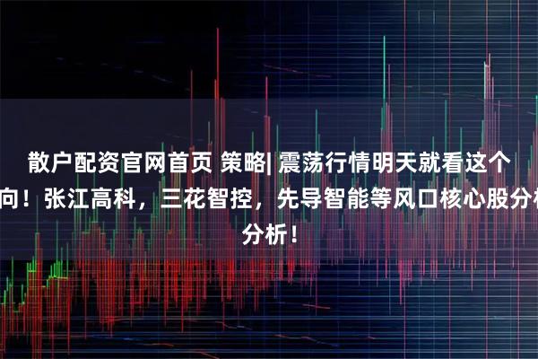 散户配资官网首页 策略| 震荡行情明天就看这个方向！张江高科，三花智控，先导智能等风口核心股分析！